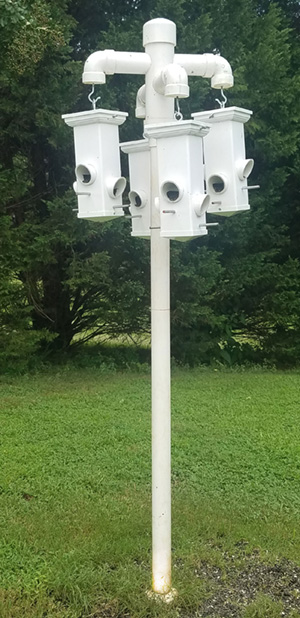 UltraQuad Bird Feeder Pendant Station